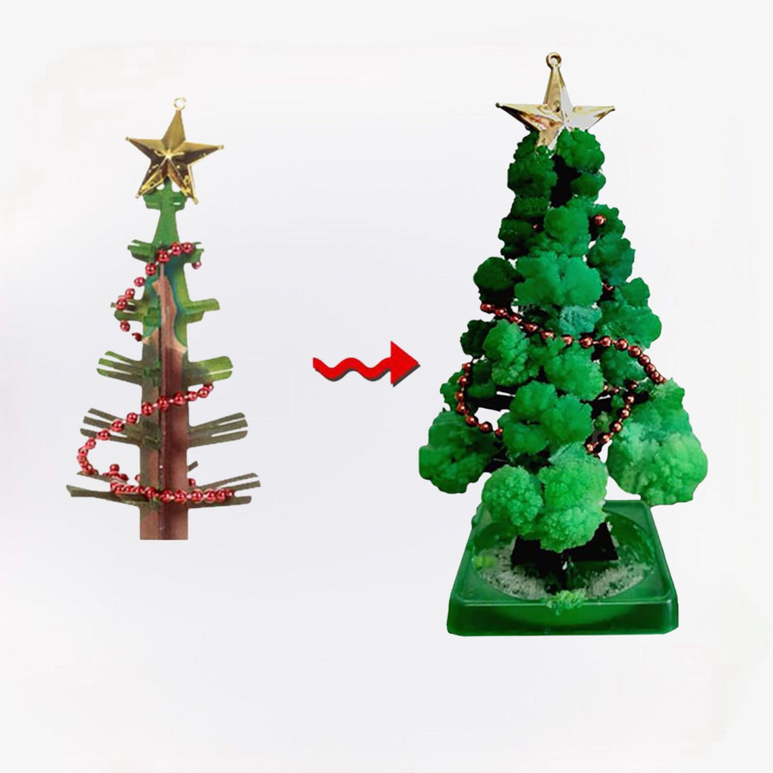 MiniForest kerstboom kweekset voor thuis – complete set, duurzame materialen en ideaal voor het zelf kweken van een mini kerstboom.