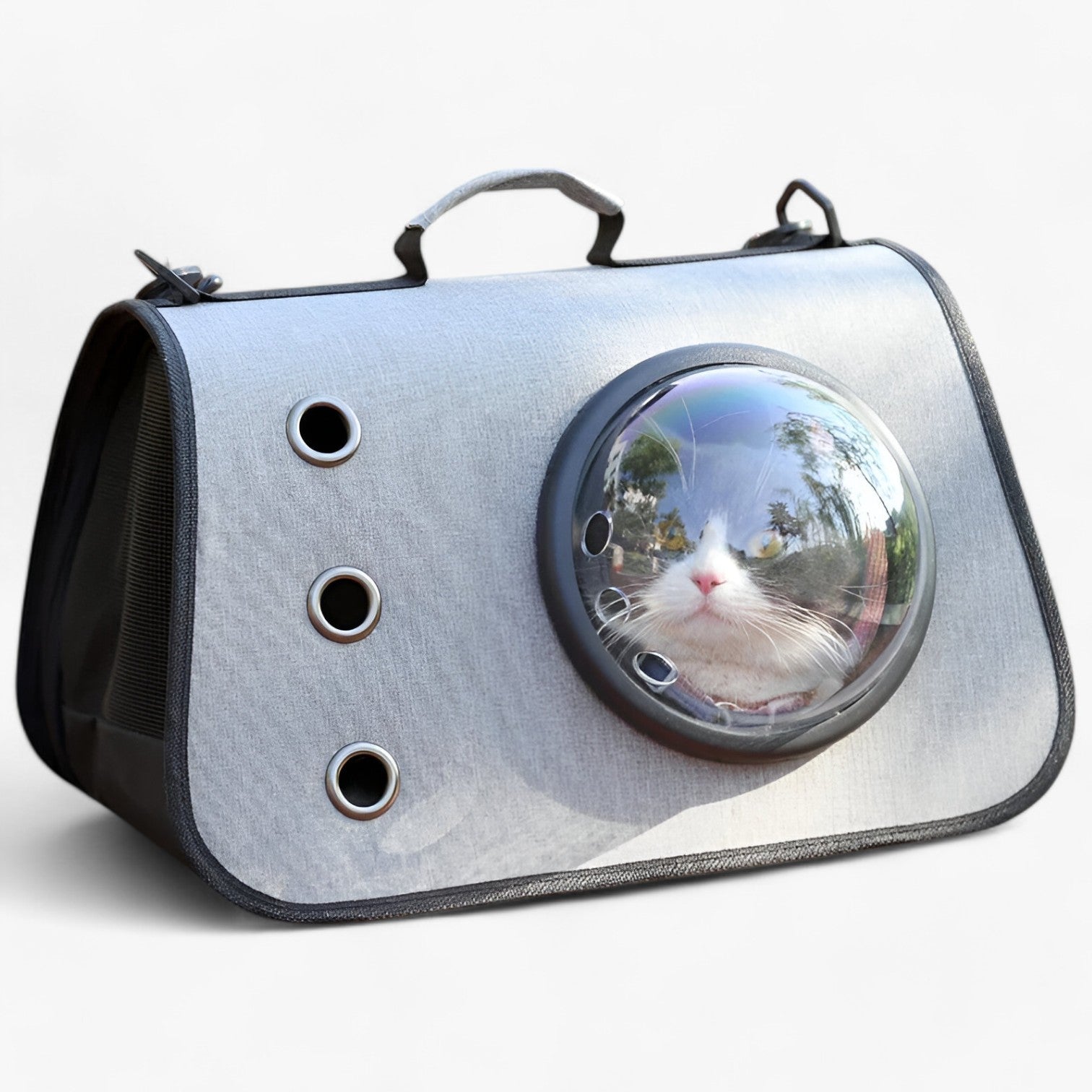 PurrBag Transparante Katten Reistas