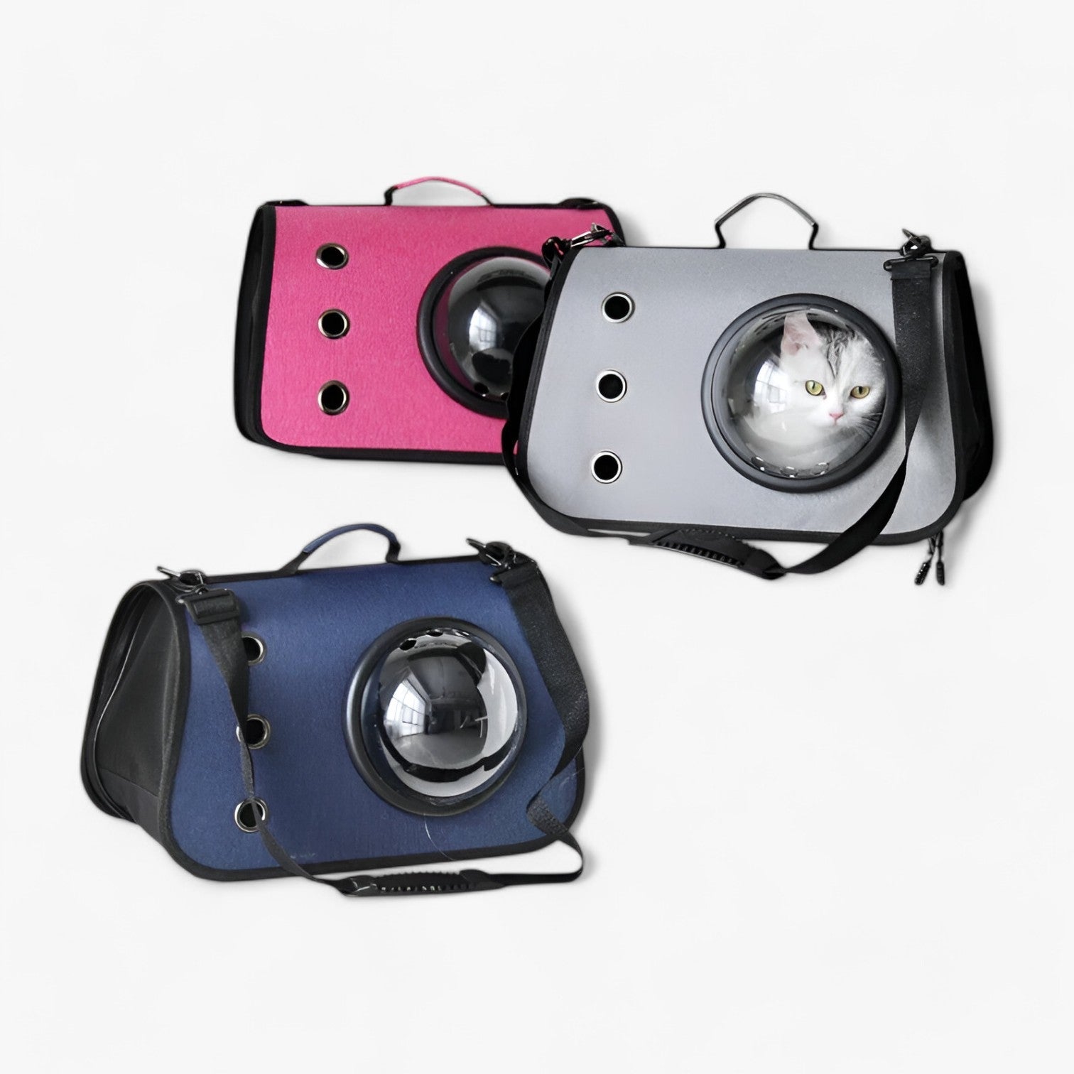 PurrBag Transparante Katten Reistas