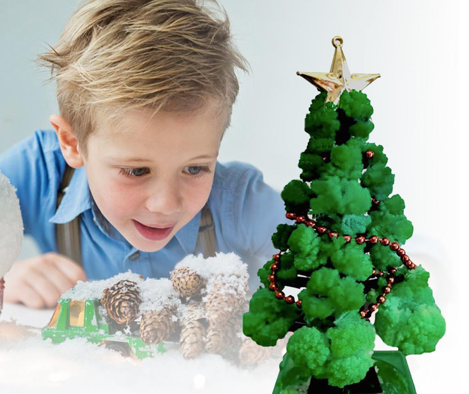 MiniForest kerstboom kweekset voor thuis – complete set, duurzame materialen en ideaal voor het zelf kweken van een mini kerstboom.