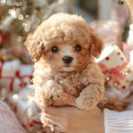 CuddlePup interactieve pluchen hond – schattige en bewegende knuffel die kinderen vermaakt en stimuleert met realistische bewegingen en reacties.