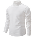 Heren coltrui voor de winter in diverse kleuren – warme, zachte stof, comfortabele pasvorm en moderne casual stijl.