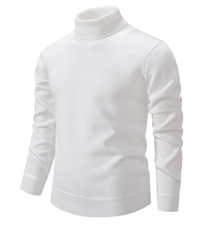 Heren coltrui voor de winter in diverse kleuren – warme, zachte stof, comfortabele pasvorm en moderne casual stijl.