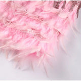 Feestelijke Fringe Jurk met Veren