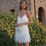 Feestelijke Fringe Jurk met Veren
