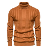 Gastonet coltrui voor heren – warme wintertrui in diverse kleuren, zachte stof en comfortabele pasvorm voor koude dagen.