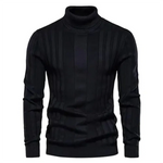 Gastonet coltrui voor heren – warme wintertrui in diverse kleuren, zachte stof en comfortabele pasvorm voor koude dagen.