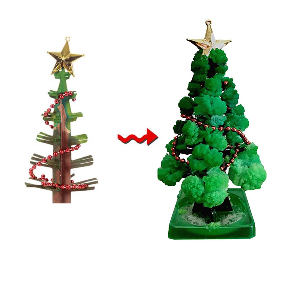 MiniForest kerstboom kweekset voor thuis – complete set, duurzame materialen en ideaal voor het zelf kweken van een mini kerstboom.