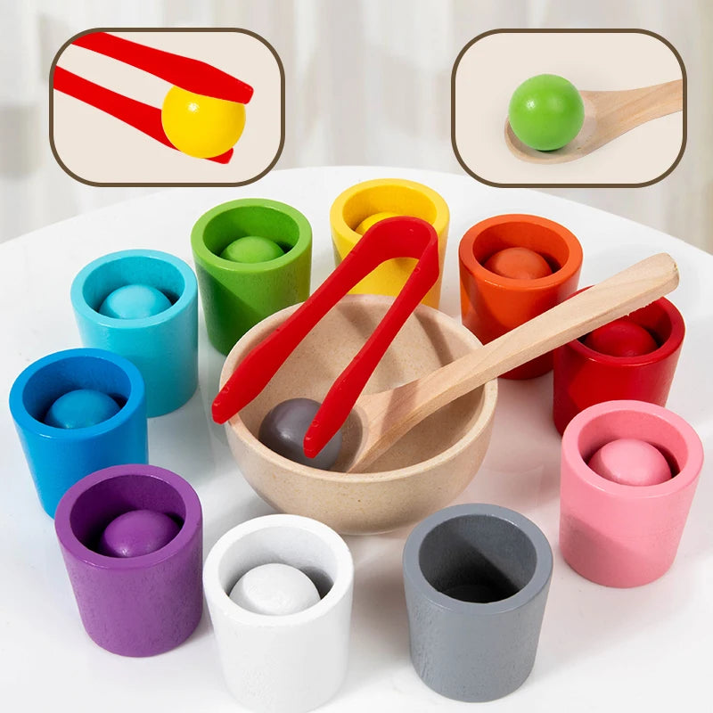 Montessori houten kleurenbekers – educatief sorteerspel voor kleuters, duurzaam materiaal en stimulerend voor kleur- en vormherkenning.