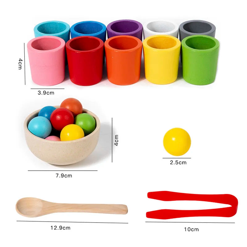 Montessori houten kleurenbekers – educatief sorteerspel voor kleuters, duurzaam materiaal en stimulerend voor kleur- en vormherkenning.