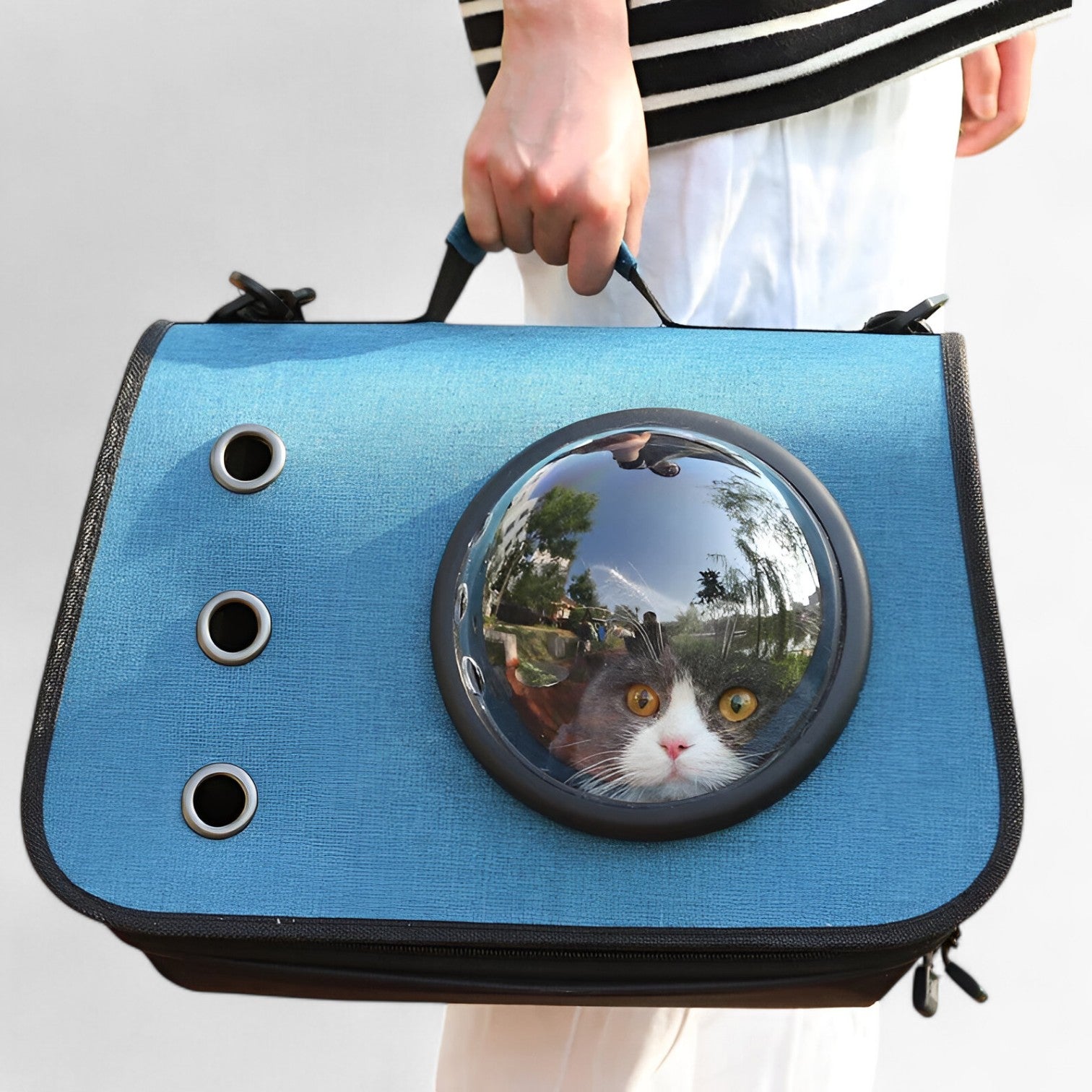 PurrBag Transparante Katten Reistas