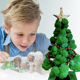 MiniForest kerstboom kweekset voor thuis – complete set, duurzame materialen en ideaal voor het zelf kweken van een mini kerstboom.