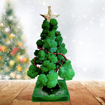 MiniForest kerstboom kweekset voor thuis – complete set, duurzame materialen en ideaal voor het zelf kweken van een mini kerstboom.
