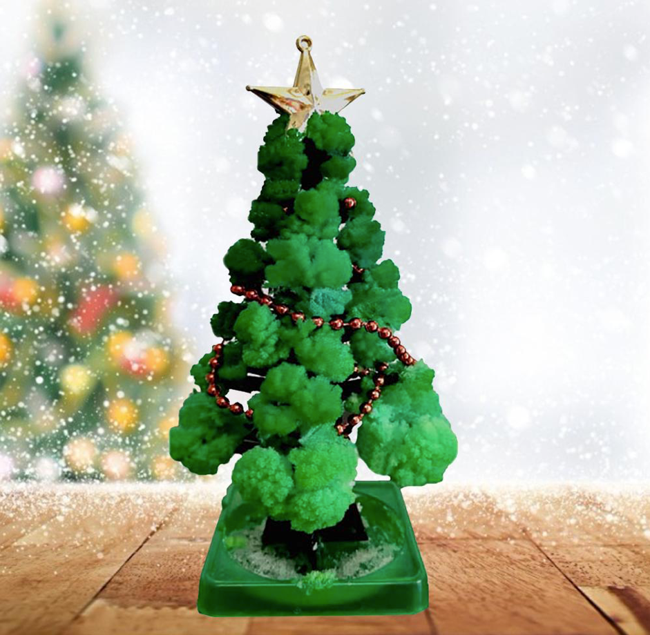 MiniForest kerstboom kweekset voor thuis – complete set, duurzame materialen en ideaal voor het zelf kweken van een mini kerstboom.