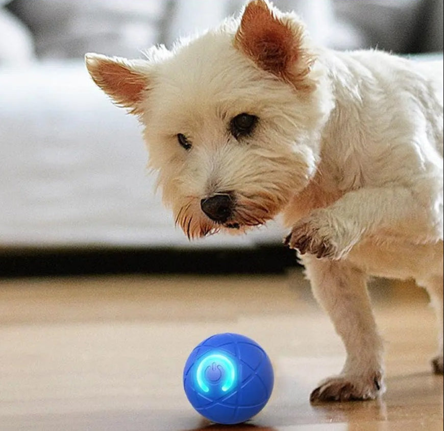 DogCatFri interactieve bal – oplaadbare speelbal voor huisdieren, ontworpen om activiteit en plezier te stimuleren. Duurzaam en veilig, perfect voor zowel honden als katten.